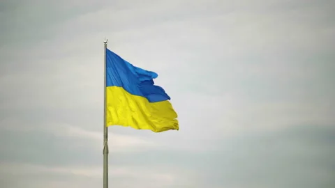 A flag of Ukraine flutters against the background of a cloud sky 스톡 동영상 201211728
