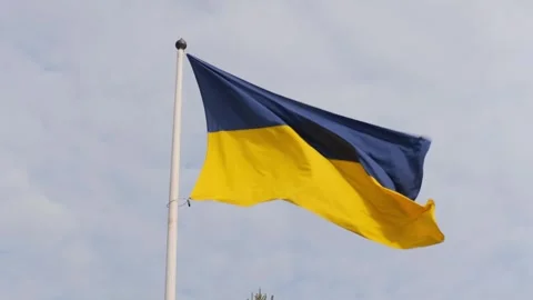 The flag of Ukraine flutters in a strong wind. Stock Footage 262672335