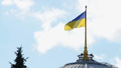 Flag of Ukraine Video stock 8770330