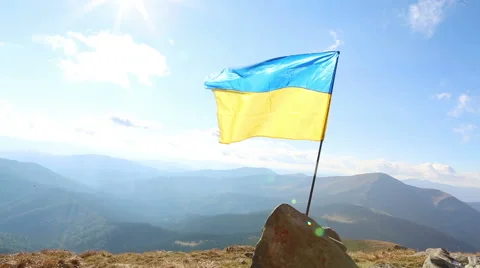 Flag Ukraine Vídeo Stock 45866991