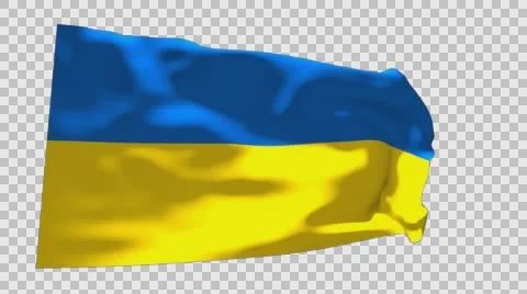 Flag of Ukraine Stockbeeldmateriaal 59850102