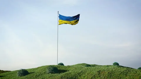 Flag of Ukraine Vidéo 168274571