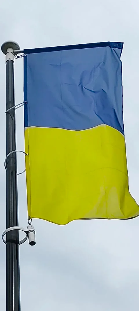 Flag of Ukraine Stock Footage 271666280