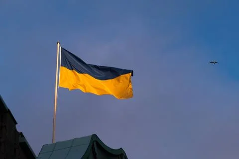 Flag of Ukraine Stock Photos