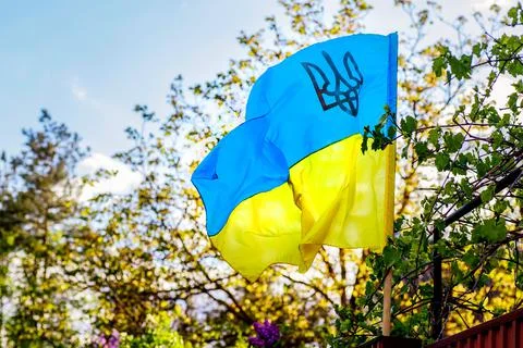 The flag of Ukraine in the rays of the setting sun against the background of Stock Photos