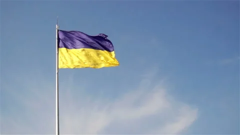 Flag of Ukraine waving in slow motion Stock Footage 139230141