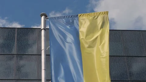 Flag of Ukraine waving in the wind Stock Footage 204151640