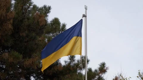 The flag of Ukraine is waving in the wind. Stock Footage 256042036