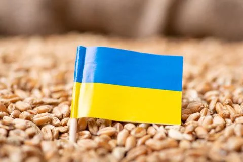 Flag of Ukraine on wheat Stock Photos