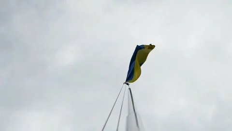 Flag of Ukraine in the wind hangs on a flagpole Stock-Footage 133135246
