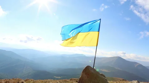 Flag Ukrainian Vídeo Stock 45860796