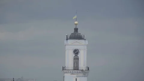 Flag Ukrainian Video stock 85858022