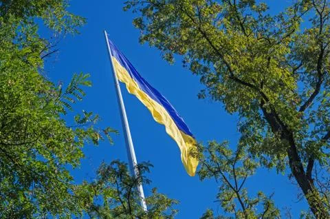 Flag ukrainian Stock Photos