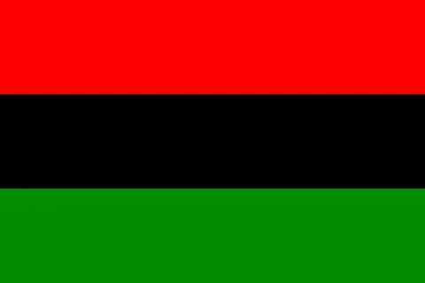 Flag of the UNIA Stock Illustration