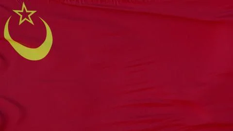 Flag of Union Of Islamic Soviet Republics, waving at wind. 3d illustration Stock Photos