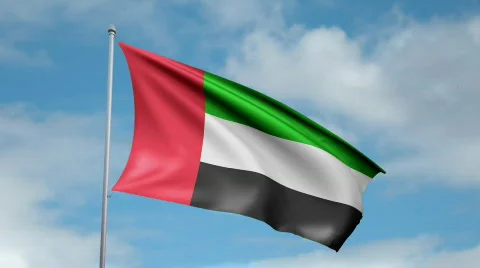 Flag of United Arab Emirates 스톡 동영상 450175
