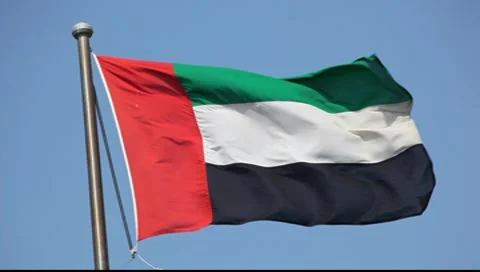 Flag of United Arab Emirates Stock Footage 7908490