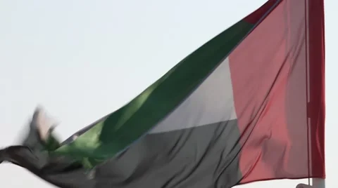 Flag Of The United Arab Emirates Stock Footage 65341855