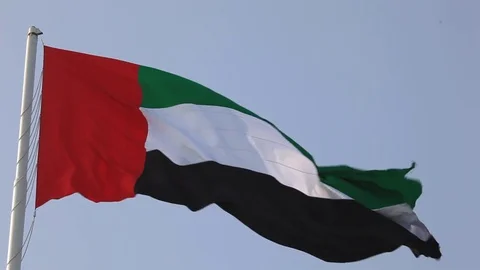 Flag of the United Arab Emirates Stock Footage 70563668