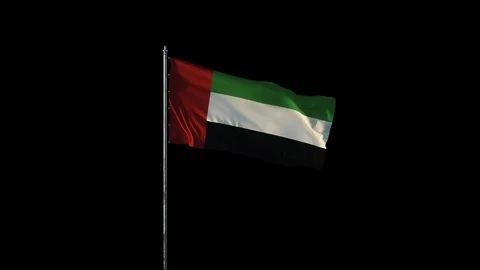 Flag of the United Arab Emirates Stock Footage 102957734