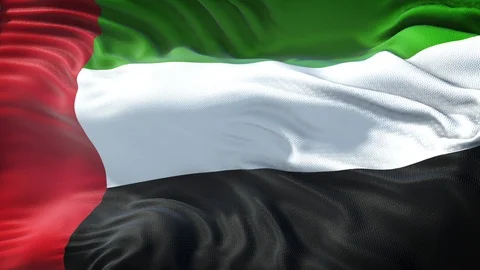 Flag of United Arab Emirates Stock Footage 104695462