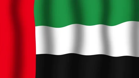 Flag of the United Arab Emirates Vidéo 175890777