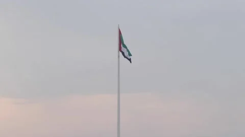 Flag of the United Arab Emirates Stock Footage 238675648