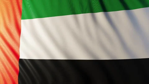 Flag of United Arab Emirates 스톡 동영상 295273091