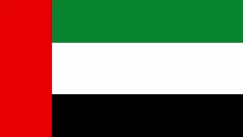 Flag of the United Arab Emirates moving sideways Stock-Footage 207803645