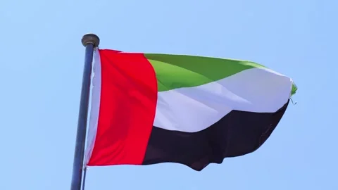 A flag of the United Arab Emirates (UAE) waving in the wind Stock Footage 283110561