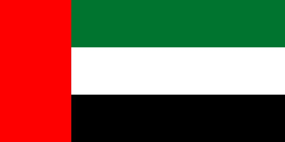 Flag of United Arab Emirates - Vector illustration. イラスト素材