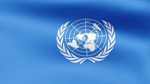 Flag of United Nations, fluttering in the wind. 3D rendering. Looping video. Stock Footage 75230253