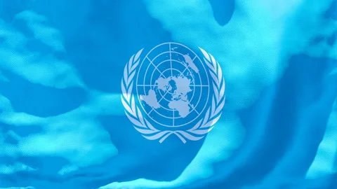 The flag of United Nations flutters in the wind Stock Footage 133628153