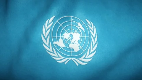 Flag of the united nations waving in the wind Stock-Footage 125885443