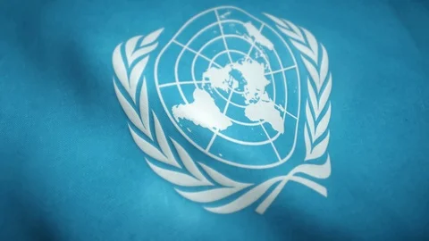 Flag of the united nations in the wind Stock-Footage 121769337