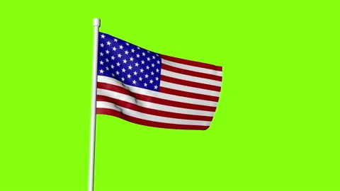 The flag of the United States of America is developing in the wind Stock-Footage 109135354