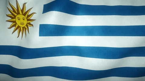 Flag of uruguay waving in the wind Stock-Footage 125831482