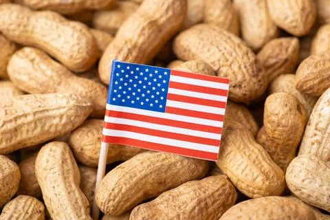 Flag of US on peanut Stock Photos