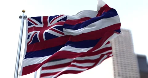The flag of the US state of Hawaii waving in the wind Stock Footage 161957945
