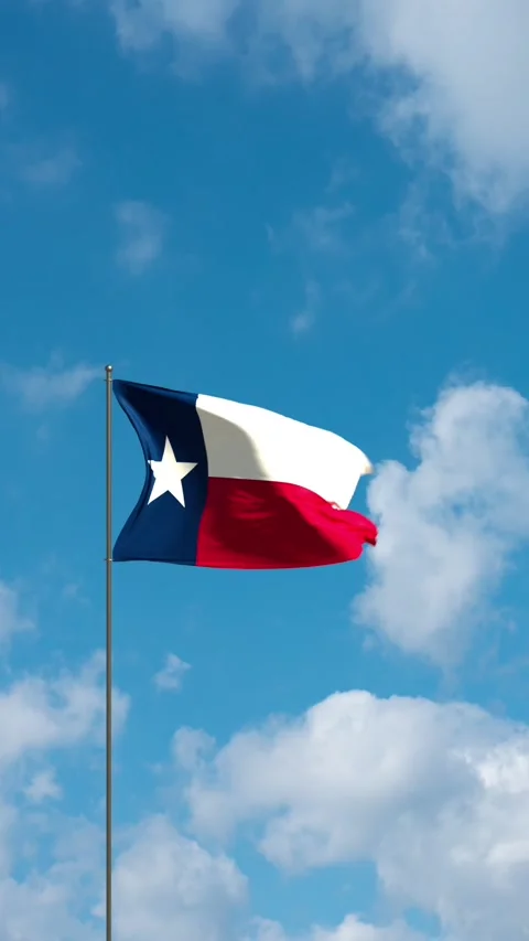 Flag US state Texas waving in the wind. Stock Footage 321740072