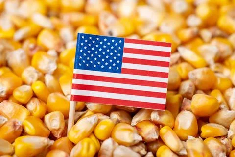 Flag of USA on corn grain Stock Photos