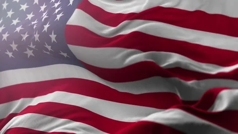 Flag of USA 動画素材 76013636