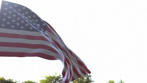 Flag of the USA Stockbeeldmateriaal 90811342