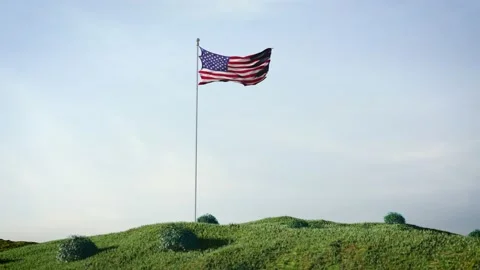 Flag of USA 動画素材 168274639