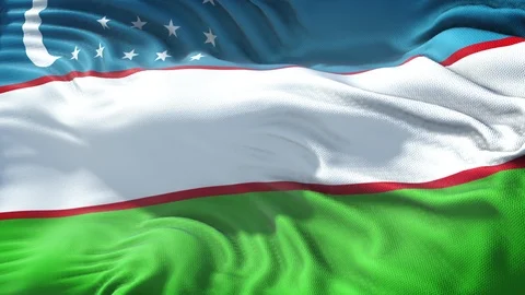 Flag of Uzbekistan Loop Stock Footage 104698489