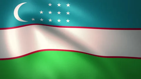Flag of Uzbekistan Waving in the Wind (LOOP) Stock Footage 161838156