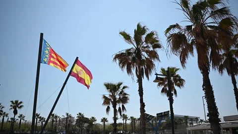 Flag of Valencia and Spain Stock Footage 326355206
