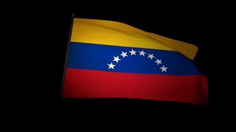 Flag Venezuela 01 Stock Footage 27419771