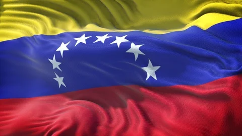 Flag of Venezuela Loop Stock Footage 104700370