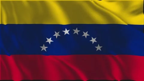 Flag of Venezuela waving slowly Video stock 340028671